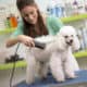 best dog grooming gifts