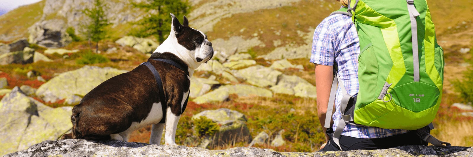 hiking gifts for dogs