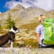 hiking gifts for dogs